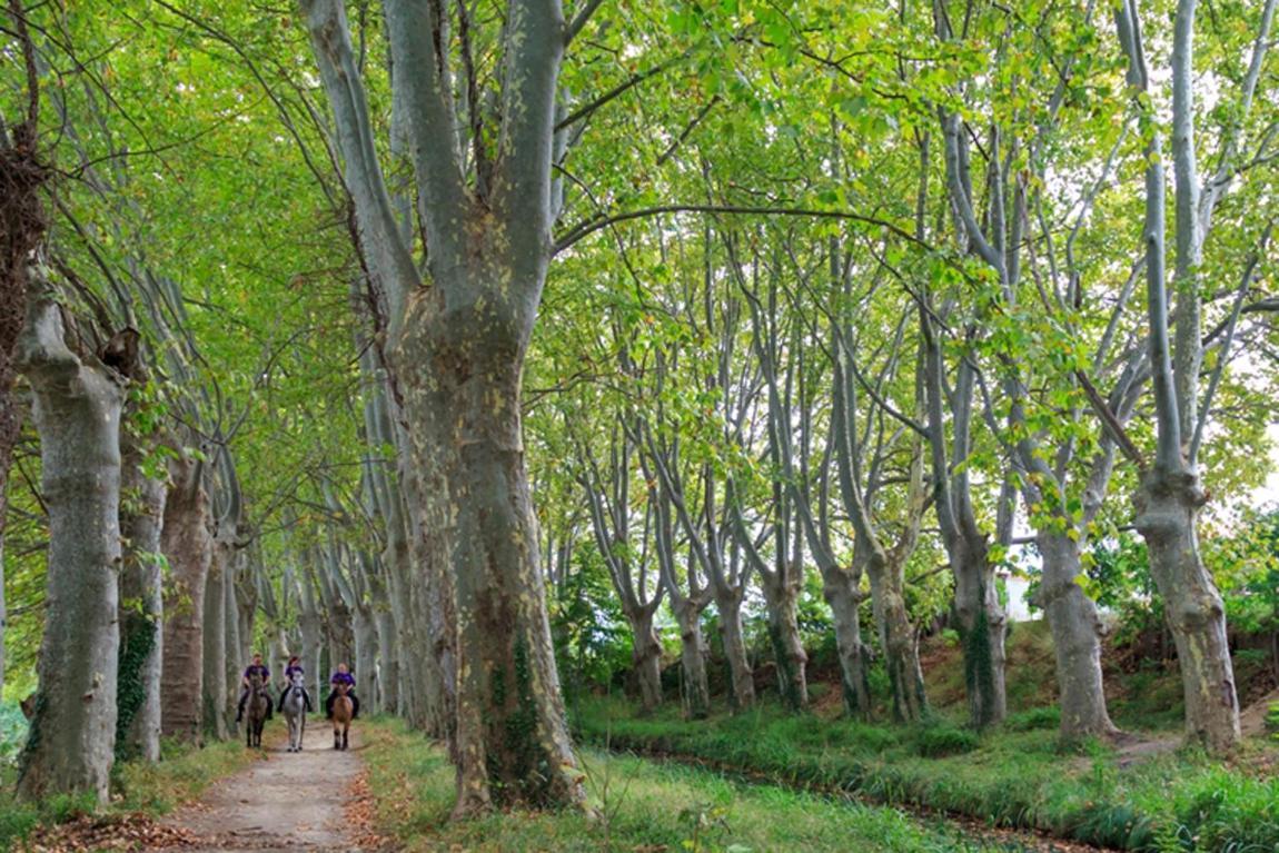 16 Chemin Des Ratequats Βίλα Mirepeisset Εξωτερικό φωτογραφία